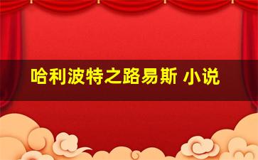 哈利波特之路易斯 小说